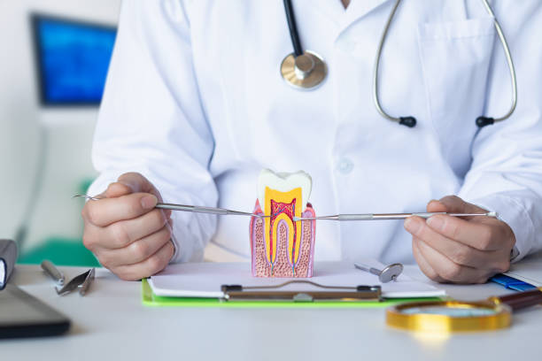 Best Emergency Dental Services Near Me  in Markham, IL